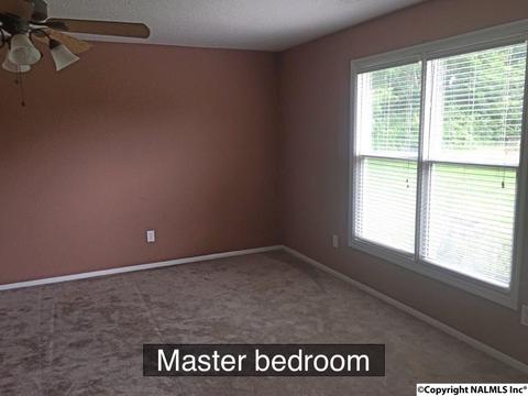 1141 County Road 319, Trinity, AL 35673 photo 10