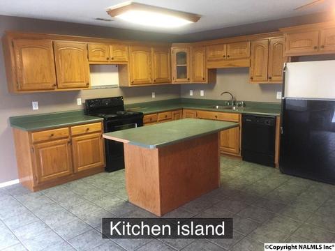 1141 County Road 319, Trinity, AL 35673 photo 7