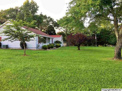 5545 County Road 434, Trinity, AL 35673 photo 30