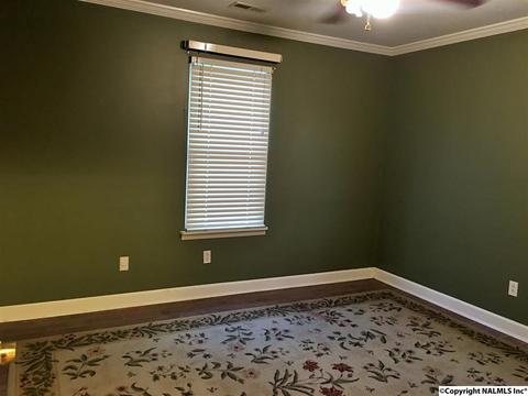 5545 County Road 434, Trinity, AL 35673 photo 24