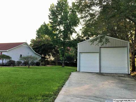 5545 County Road 434, Trinity, AL 35673 photo 5