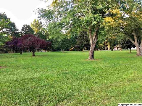 5545 County Road 434, Trinity, AL 35673 photo 32