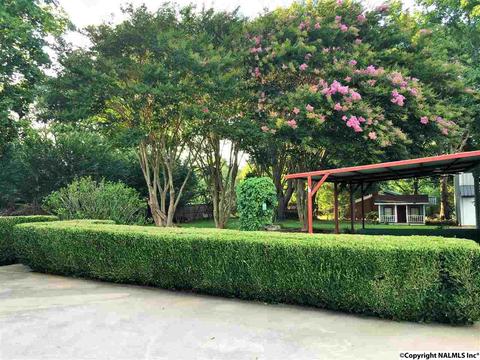 5545 County Road 434, Trinity, AL 35673 photo 8