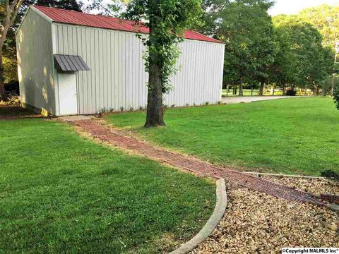 5545 County Road 434, Trinity, AL 35673 photo 15