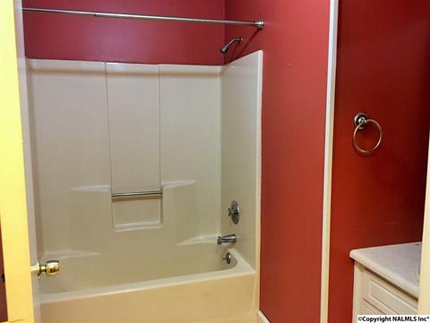 5545 County Road 434, Trinity, AL 35673 photo 23