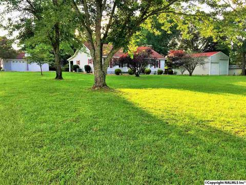 5545 County Road 434, Trinity, AL 35673 photo 1