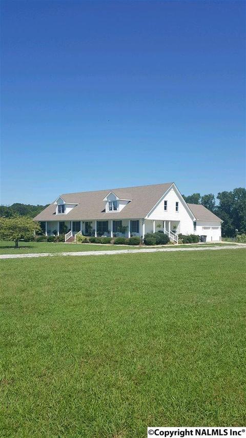 165 County Road 392, Trinity, AL 35673 photo 1