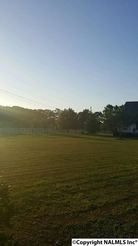 165 County Road 392, Trinity, AL 35673 photo 16