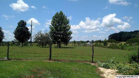 165 County Road 392, Trinity, AL 35673 photo 17