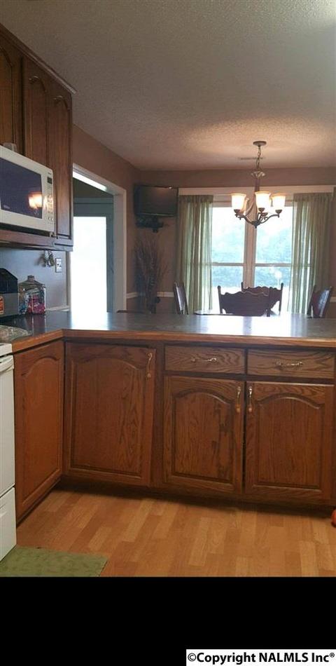 165 County Road 392, Trinity, AL 35673 photo 8