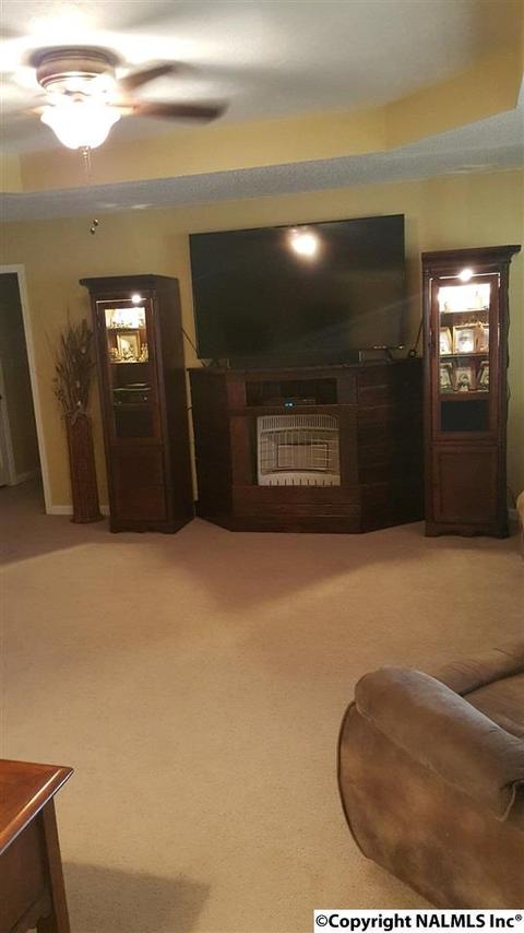 165 County Road 392, Trinity, AL 35673 photo 10