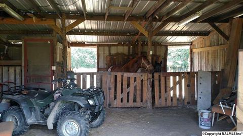 165 County Road 392, Trinity, AL 35673 photo 19