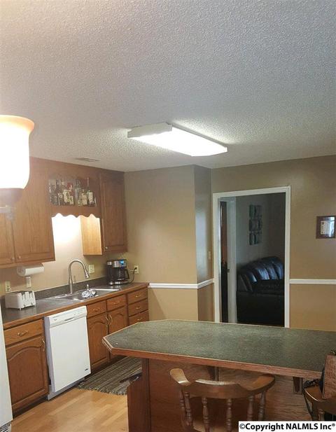 165 County Road 392, Trinity, AL 35673 photo 6