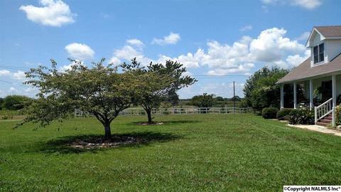 165 County Road 392, Trinity, AL 35673 photo 21