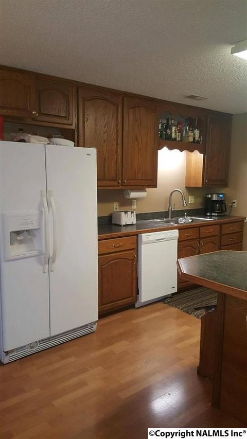 165 County Road 392, Trinity, AL 35673 photo 5