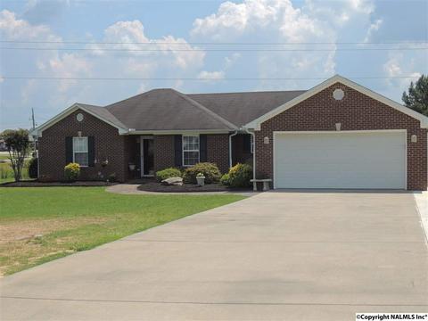 265 County Road 496, Trinity, AL 35673 photo 1