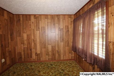 2436 County Road 49, Section, AL 35771 photo 32
