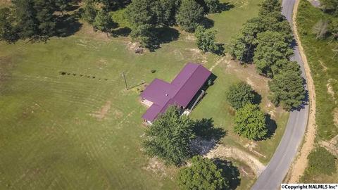 2436 County Road 49, Section, AL 35771 photo 6