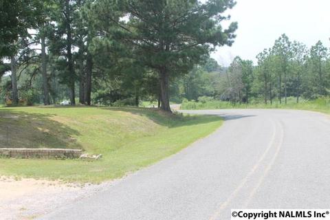 2436 County Road 49, Section, AL 35771 photo 19