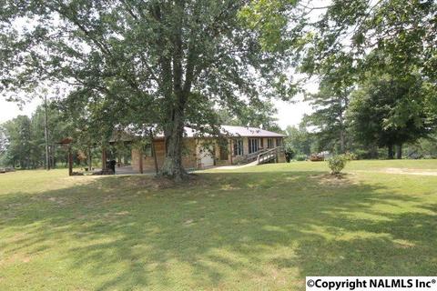 2436 County Road 49, Section, AL 35771 photo 16