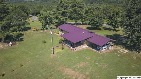 2436 County Road 49, Section, AL 35771 photo 7