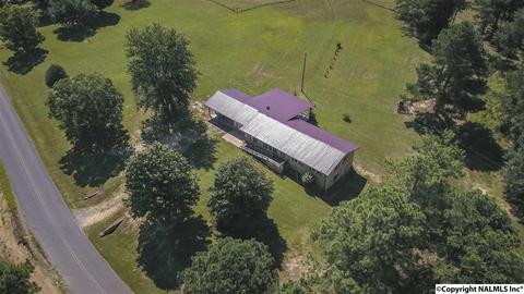 2436 County Road 49, Section, AL 35771 photo 8