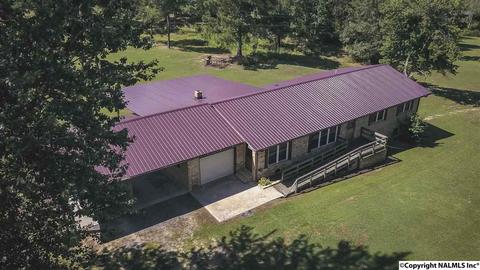 2436 County Road 49, Section, AL 35771 photo 2