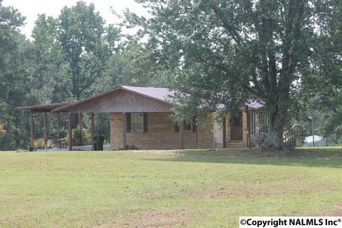 2436 County Road 49, Section, AL 35771 photo 17