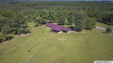 2436 County Road 49, Section, AL 35771 photo 5