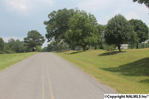2436 County Road 49, Section, AL 35771 photo 18