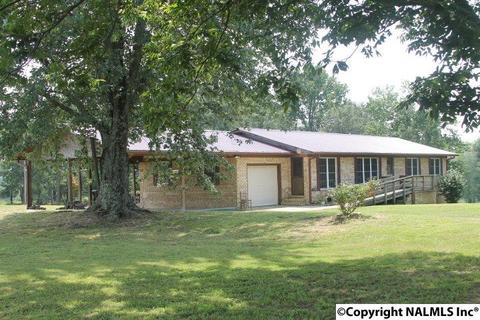 2436 County Road 49, Section, AL 35771 photo 10