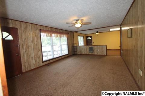 2436 County Road 49, Section, AL 35771 photo 27
