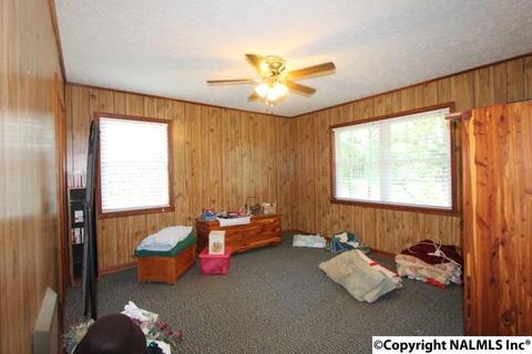 2436 County Road 49, Section, AL 35771 photo 34