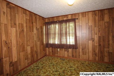 2436 County Road 49, Section, AL 35771 photo 31