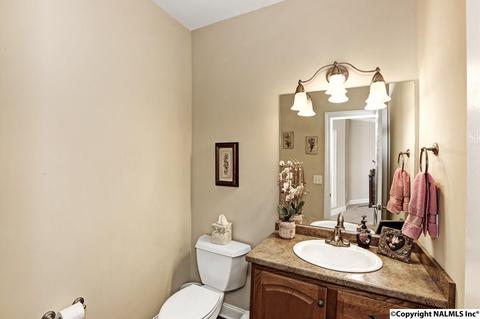 240 Mountain Ln, Gurley, AL 35748 photo 11