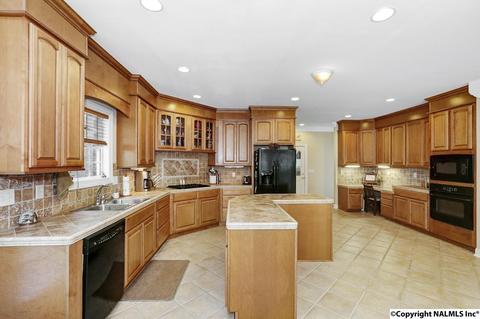 240 Mountain Ln, Gurley, AL 35748 photo 15