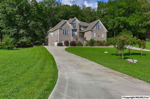 240 Mountain Ln, Gurley, AL 35748 photo 6