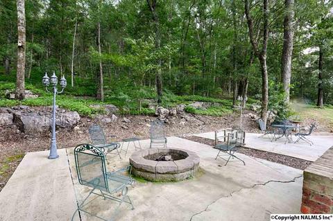 240 Mountain Ln, Gurley, AL 35748 photo 39
