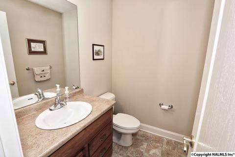 240 Mountain Ln, Gurley, AL 35748 photo 32