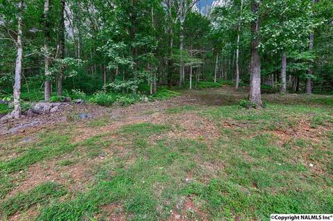 240 Mountain Ln, Gurley, AL 35748 photo 37