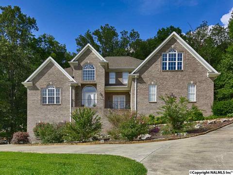 240 Mountain Ln, Gurley, AL 35748 photo 1