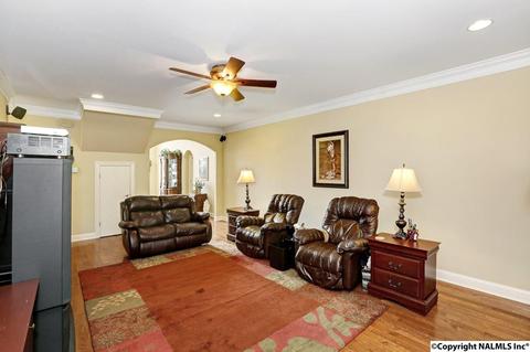240 Mountain Ln, Gurley, AL 35748 photo 13