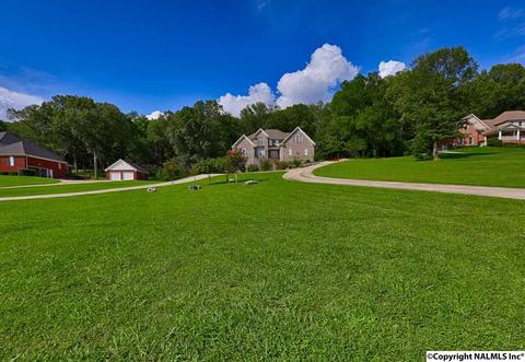 240 Mountain Ln, Gurley, AL 35748 photo 5