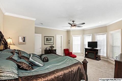 240 Mountain Ln, Gurley, AL 35748 photo 19
