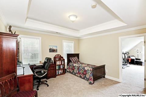 240 Mountain Ln, Gurley, AL 35748 photo 31