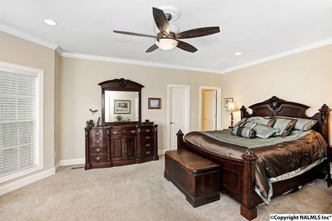 240 Mountain Ln, Gurley, AL 35748 photo 18