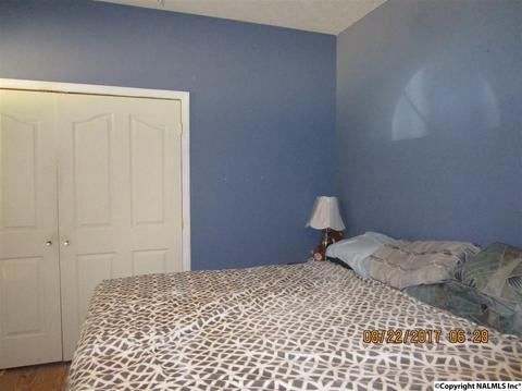 804 E Riverview Dr, Glencoe, AL 35905 photo 13