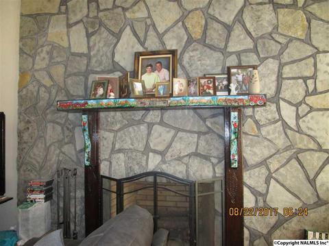 804 E Riverview Dr, Glencoe, AL 35905 photo 8