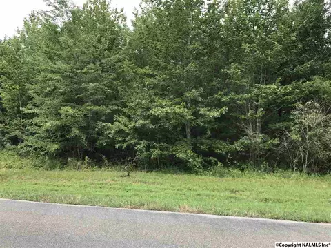 128 Trigger Trl, Ardmore, AL 35739 photo 1