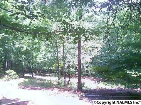 1441 Mohawk Cliff Rd, Ohatchee, AL 36271 photo 1